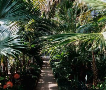 botanical garden naples