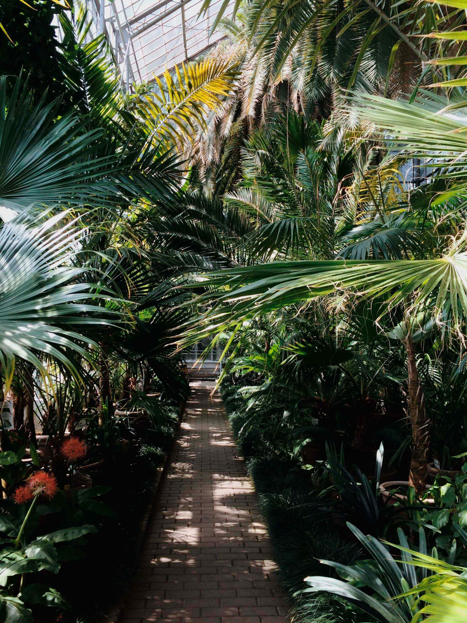 botanical garden naples florida bus trip