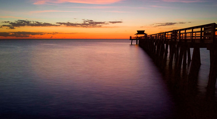 bus trip naples pier