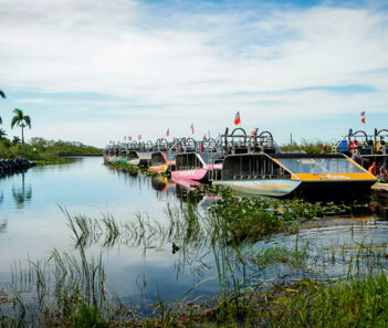 everglades kissimmee orlando florida