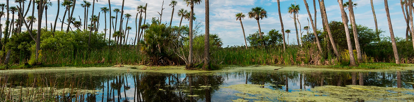 orlando destino