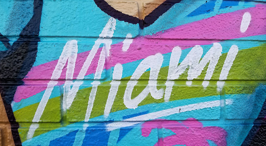 bus trip Wynwood miami